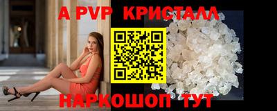 стаф Донецк