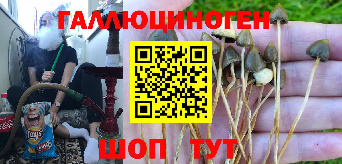 даркнет сайт  Псилоцибиновые грибы прущие грибы  Вход с VPN  Магнитогорск 